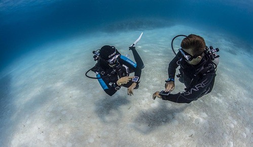 Freediver